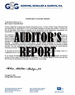 Auditor Report